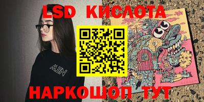 стаф Берёзовский