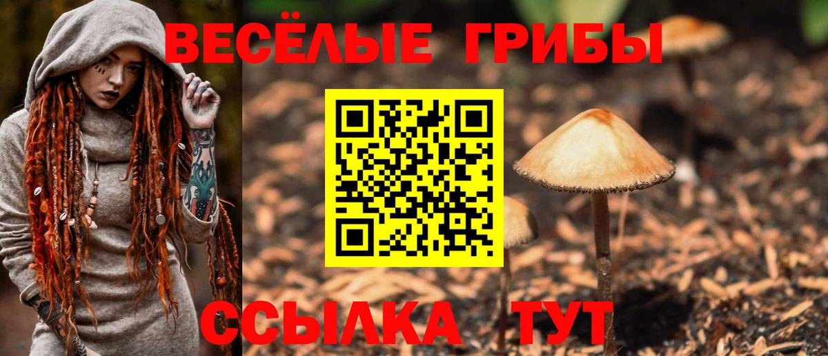 Галлюциногенные грибы Magic Shrooms Качканар
